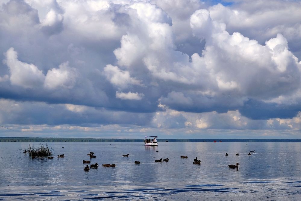 Кудрявое настроение