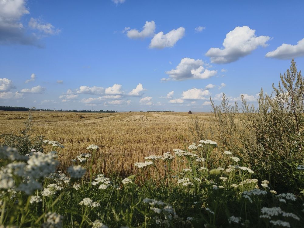 Photograph by Halina Basyanok