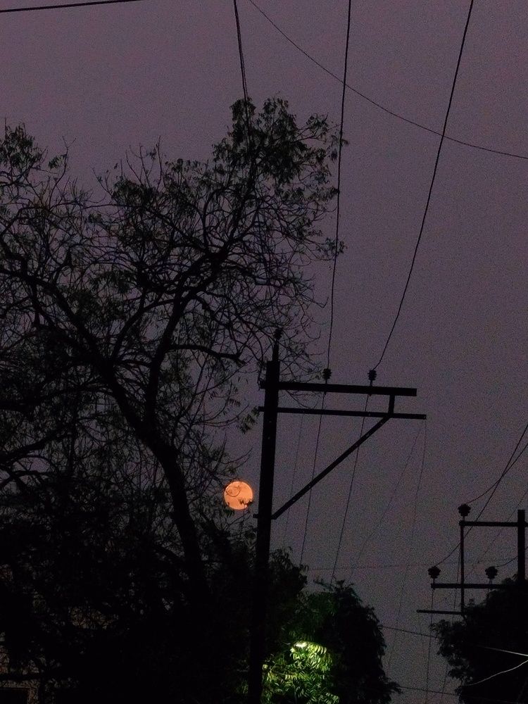 Photo #12518382