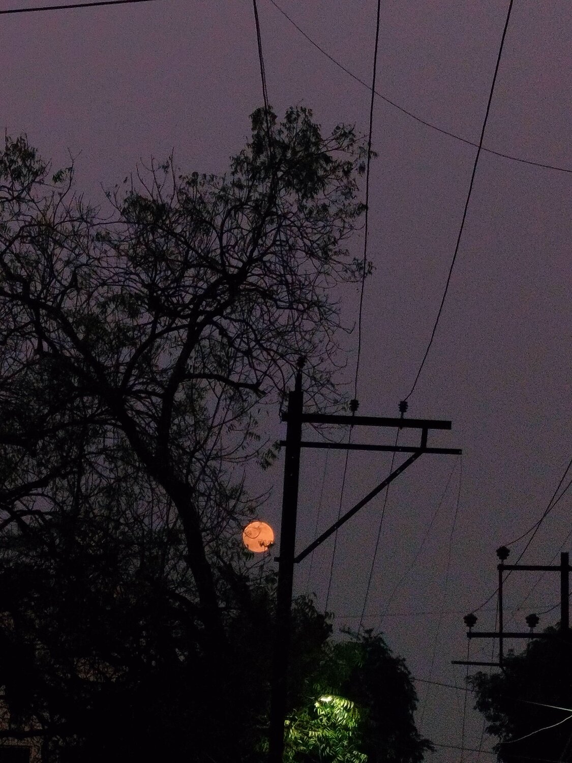 Photo #12518382