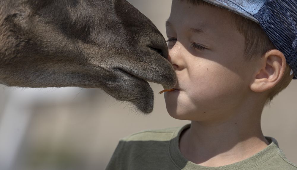 Фотография автора Анатолий Макоедов