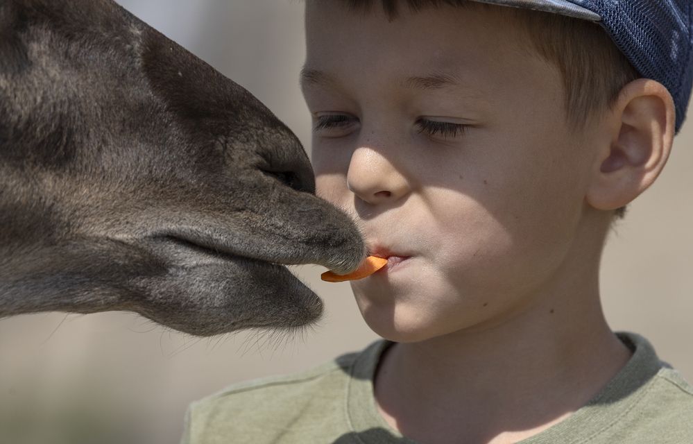 Фотография автора Анатолий Макоедов