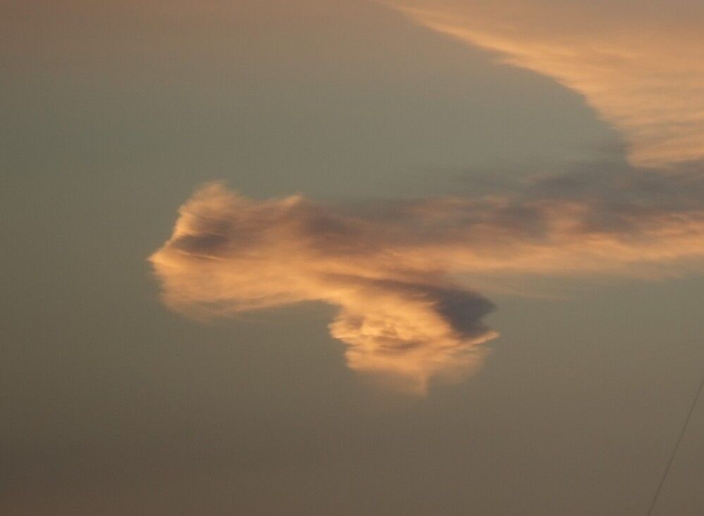 Photograph by Михаил Трусов