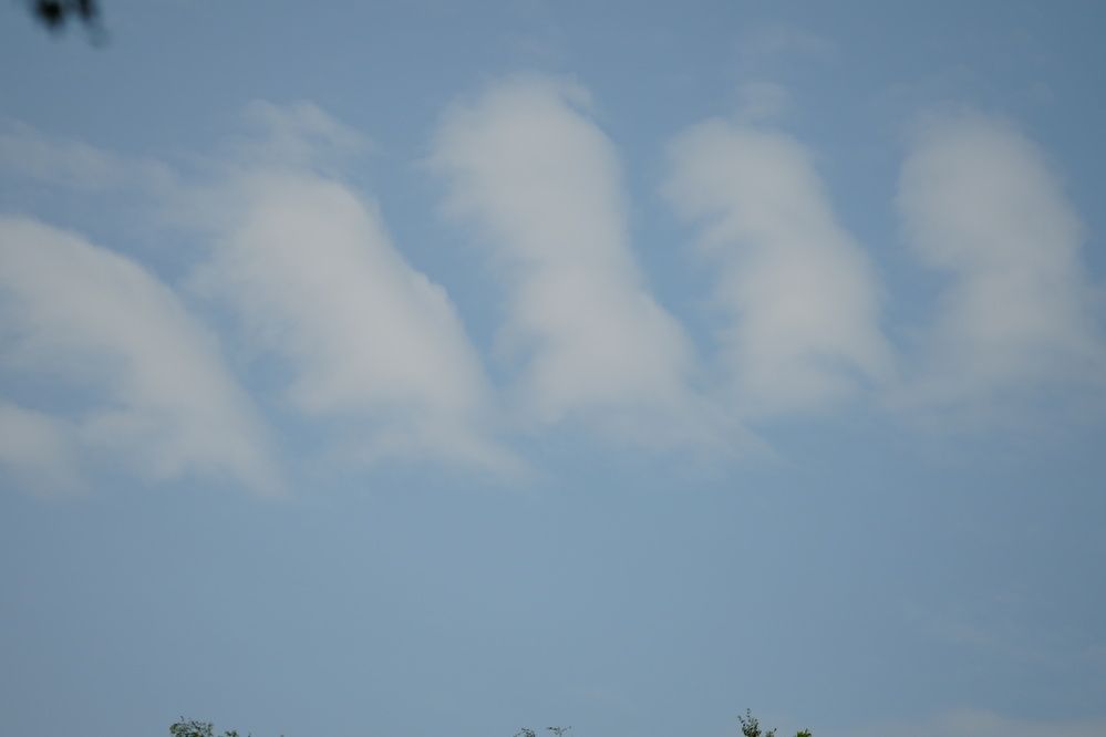 Photograph by Михаил Трусов