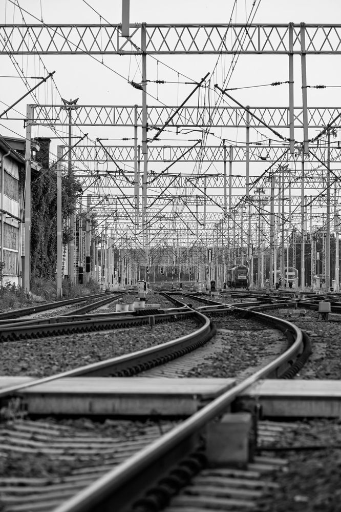 Photograph by Anton Leonchikov