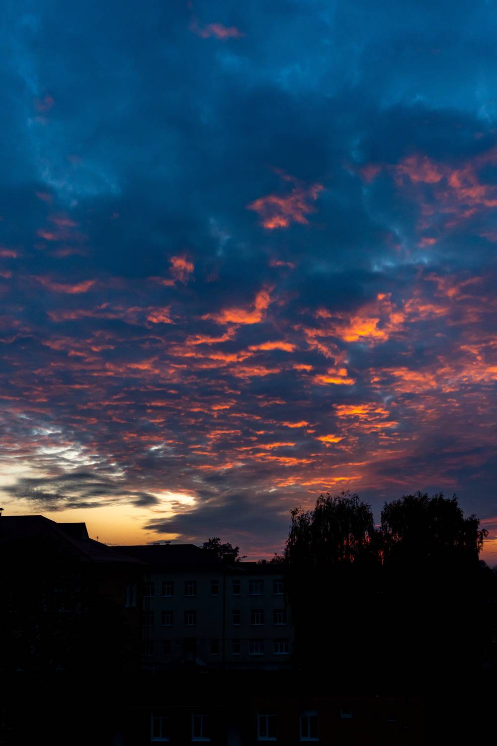 Photo #12518524