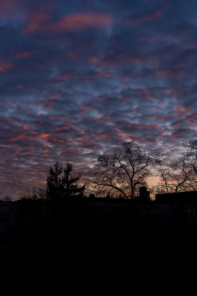 Photograph by Anton Leonchikov