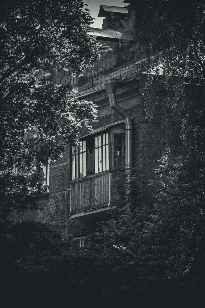 Photograph by Алексей Поликарпов