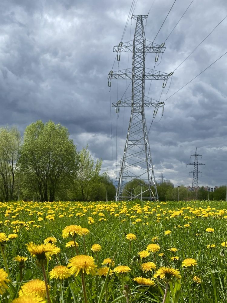 Photograph by Olga Bokareva