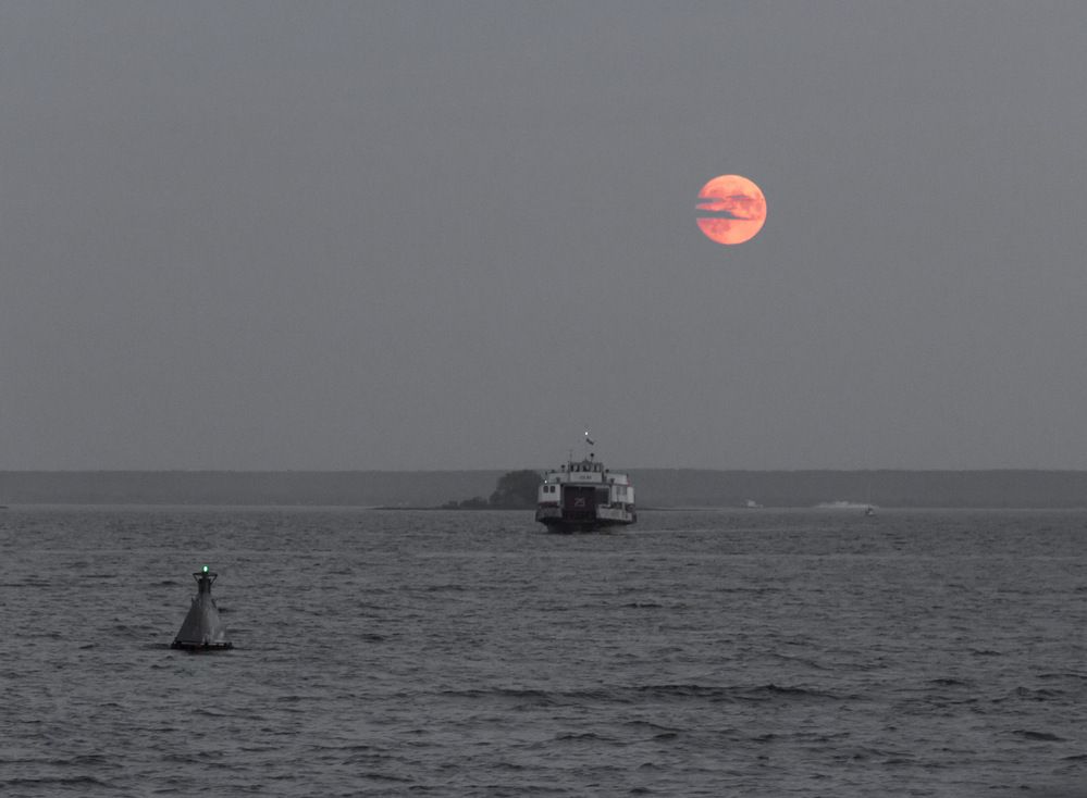 Photograph by Вячеслав