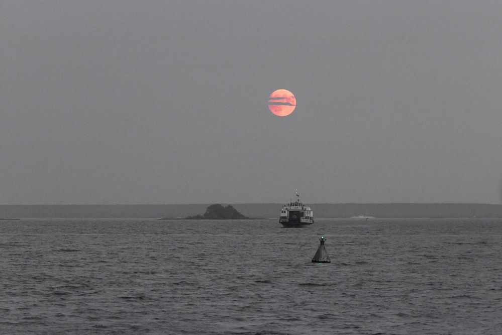 Photograph by Вячеслав