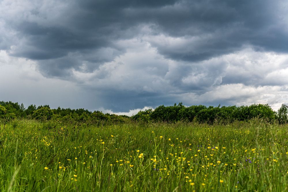 Photograph by Светлана Волкова