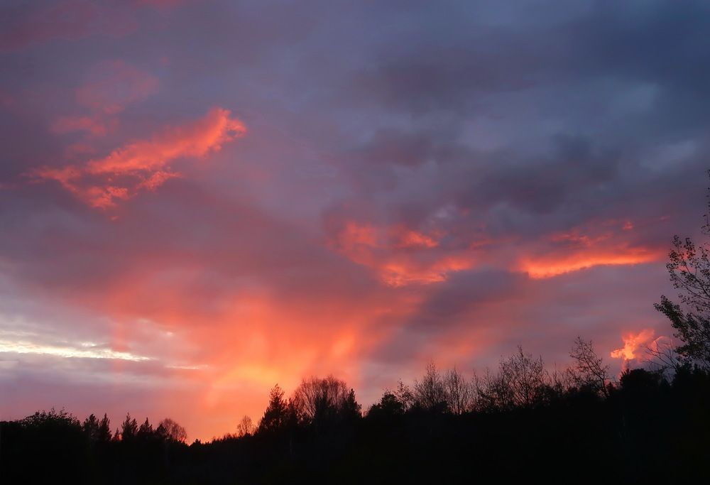 Photograph by Нина