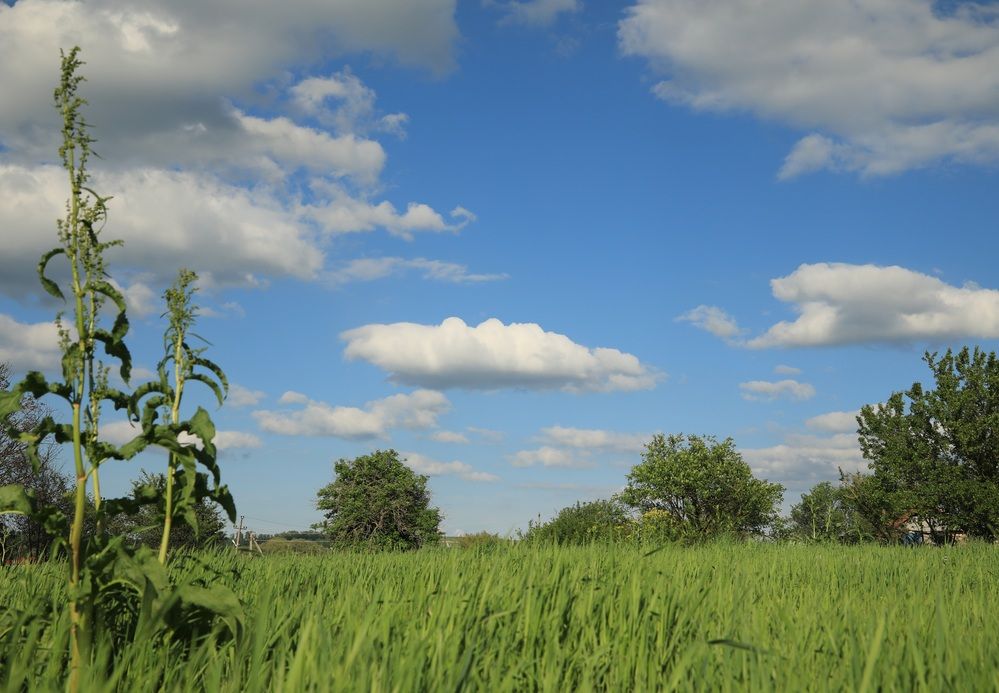 Фотография автора Елена Чурилова