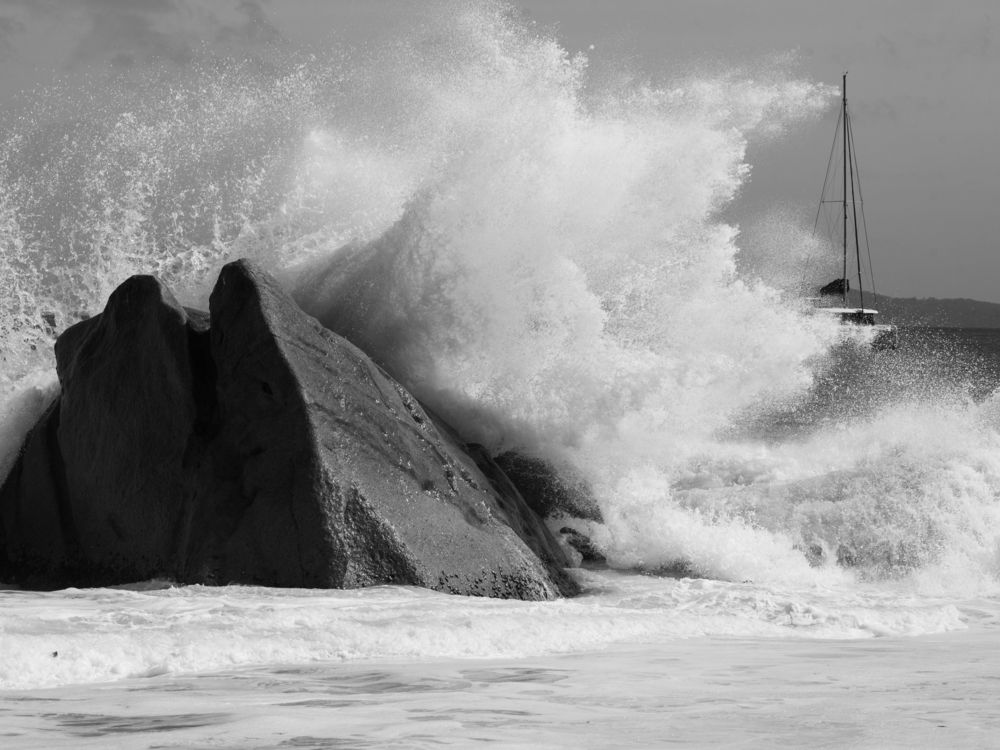 Photograph by Максим Новиков