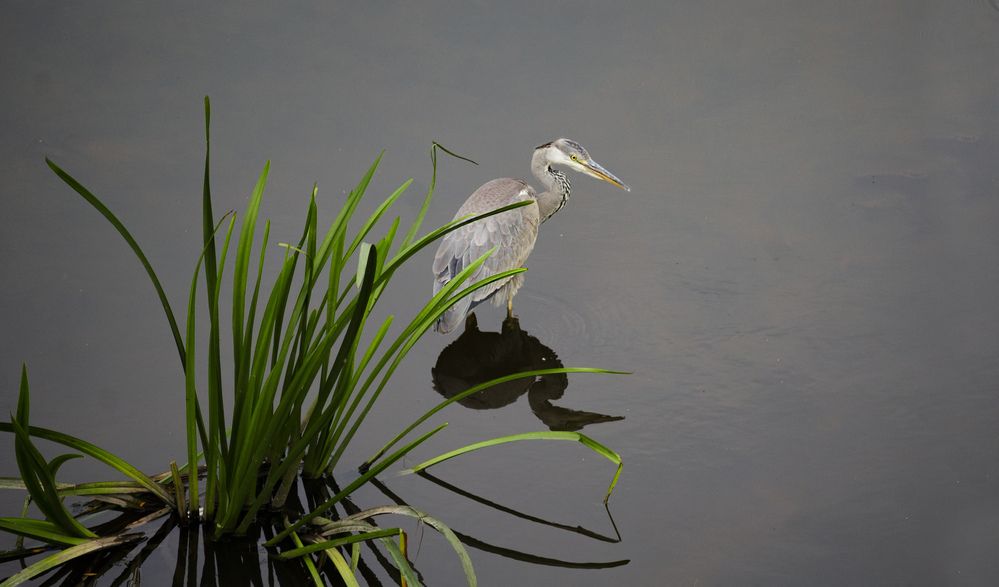 Photograph by Alexandra Chalova