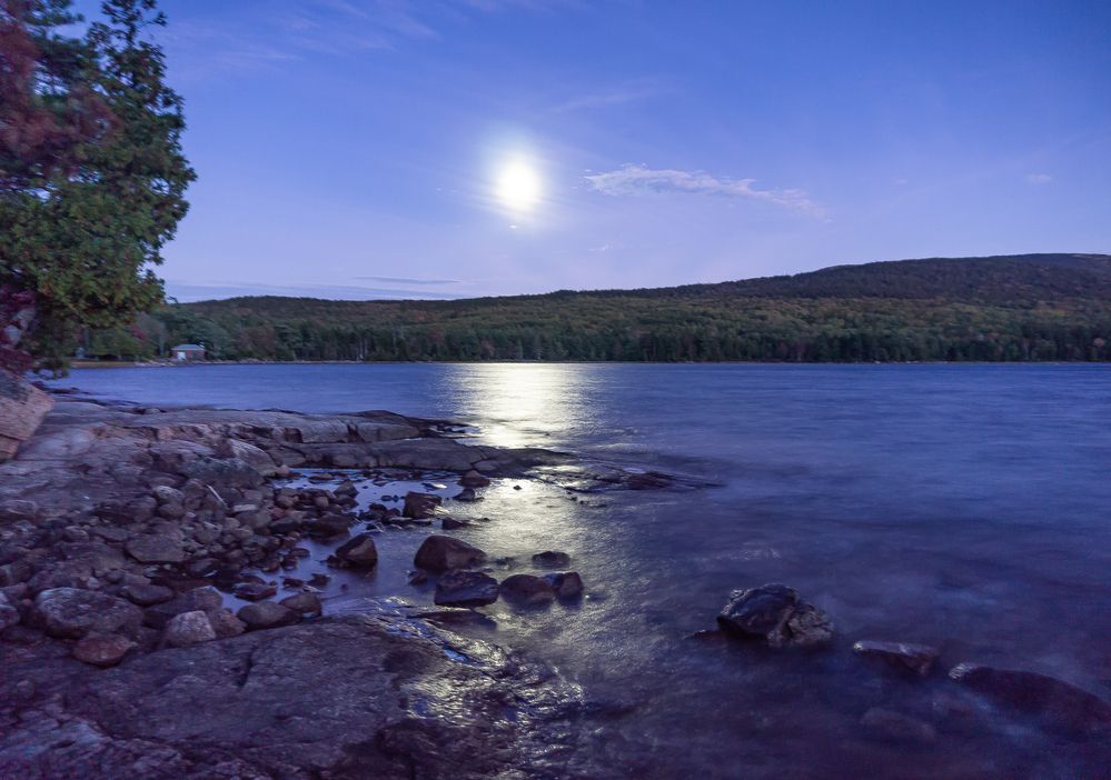 Photograph by Silvia Marcos