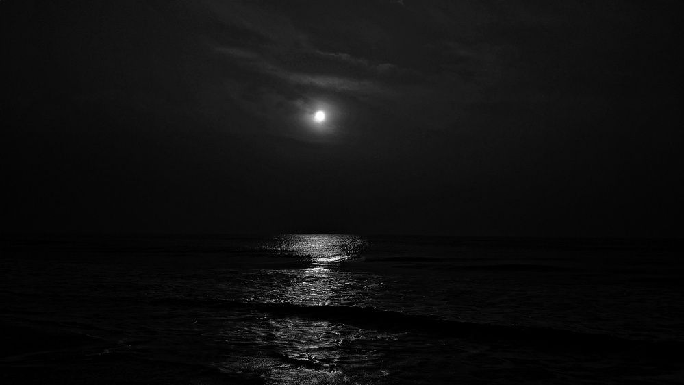 Shining Moonlight on seascape