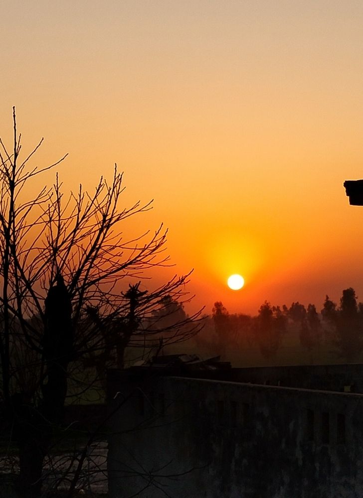 Photograph by Farwa Sagheer