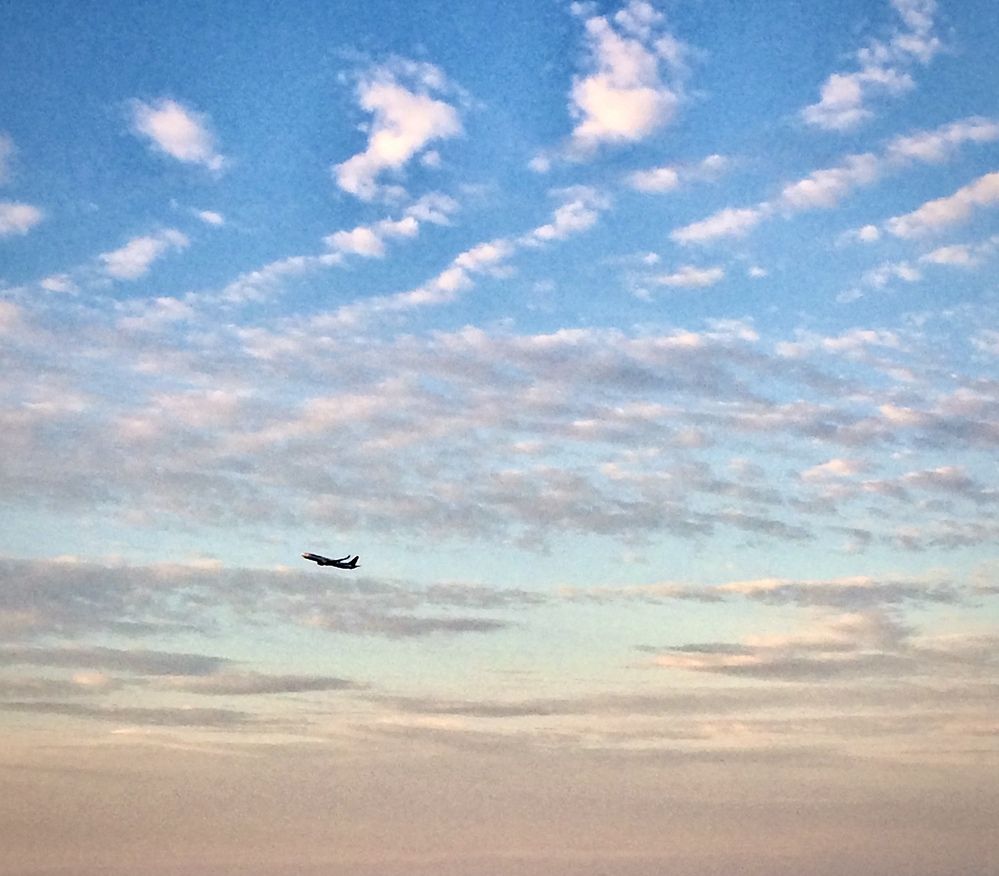 Фотография автора Татьяна Мичу-Николаевич