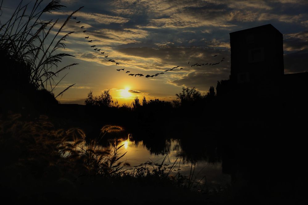 Photograph by Gonzalo Jorge Eduardo MARÓN