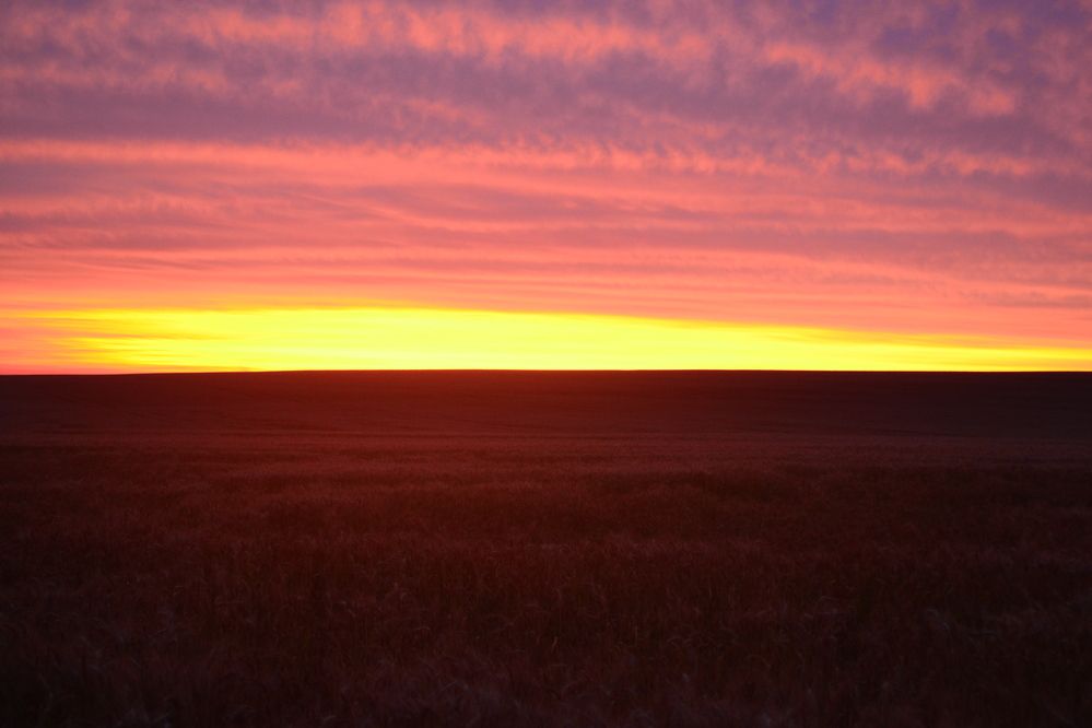 Photograph by Gildo de Campos Correa