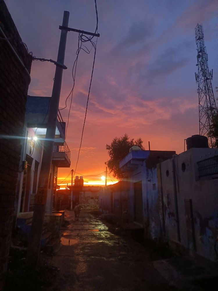 Photo #12519028