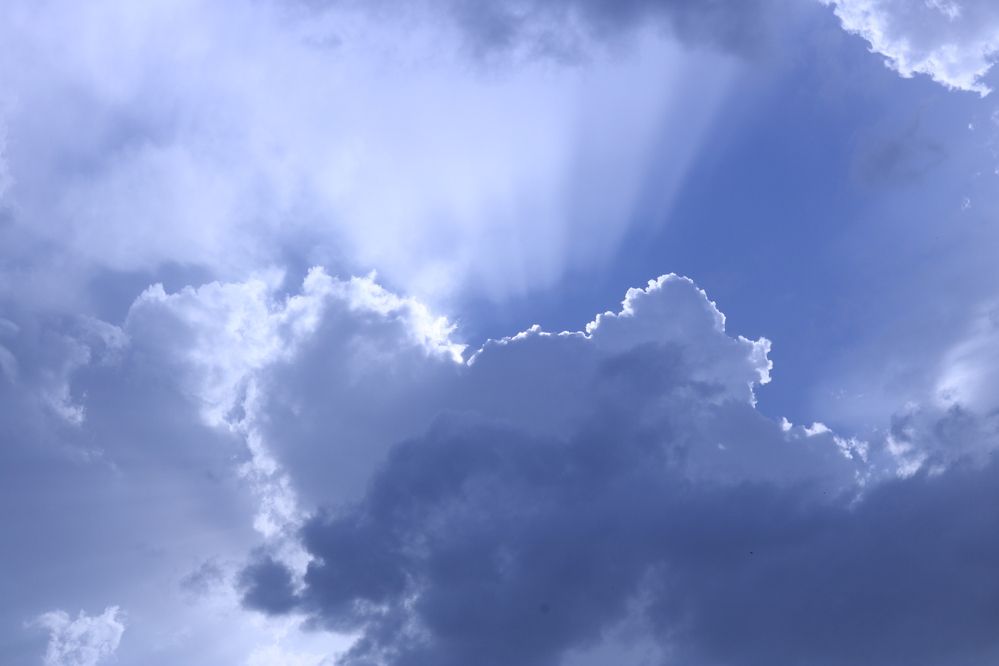 Photograph by Babak Akvan