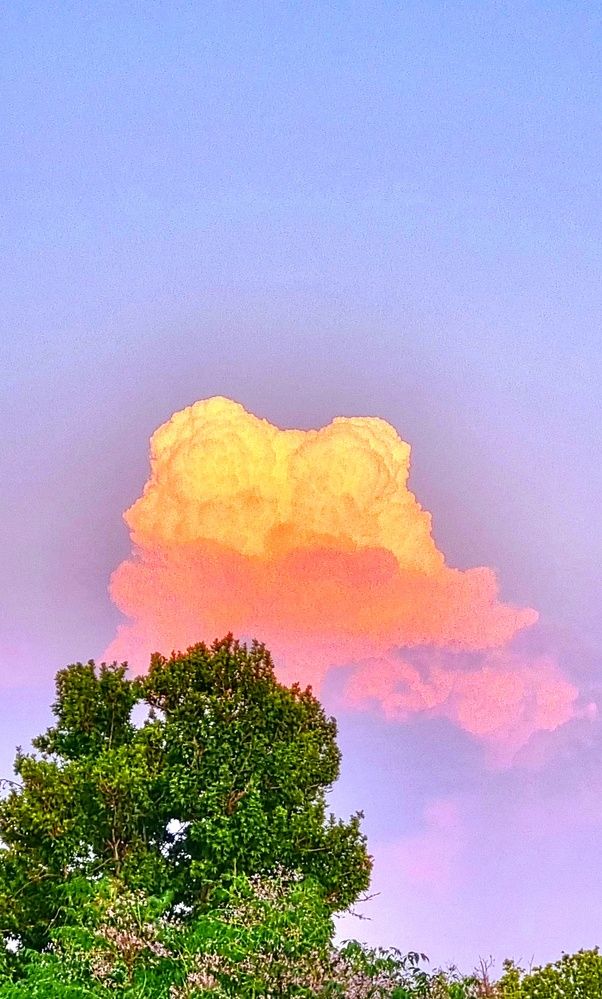 Photograph by Babak Akvan