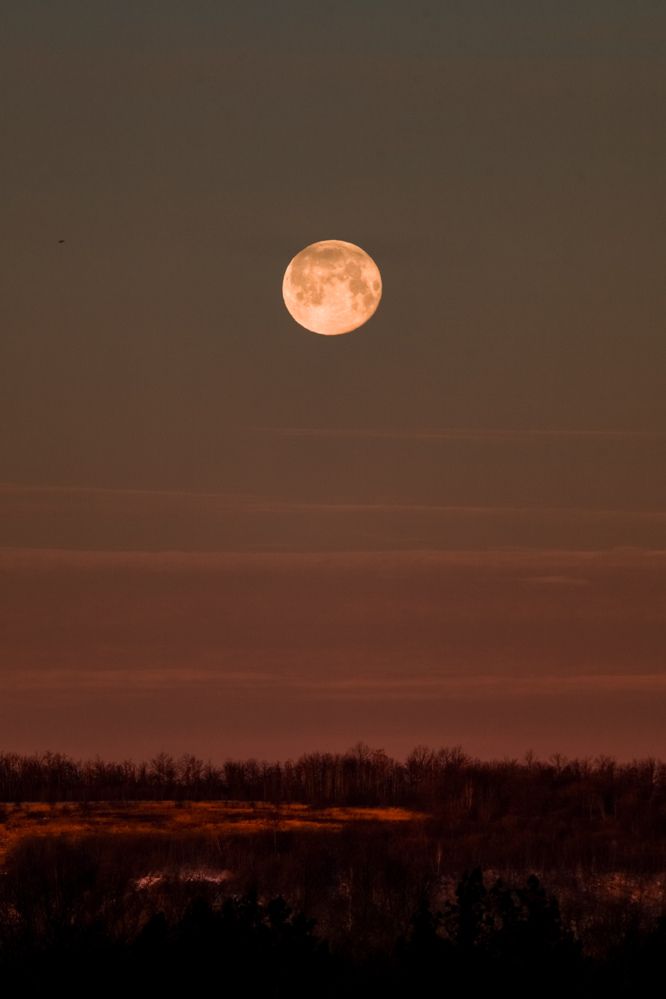 Photograph by Сергей Конюшенко