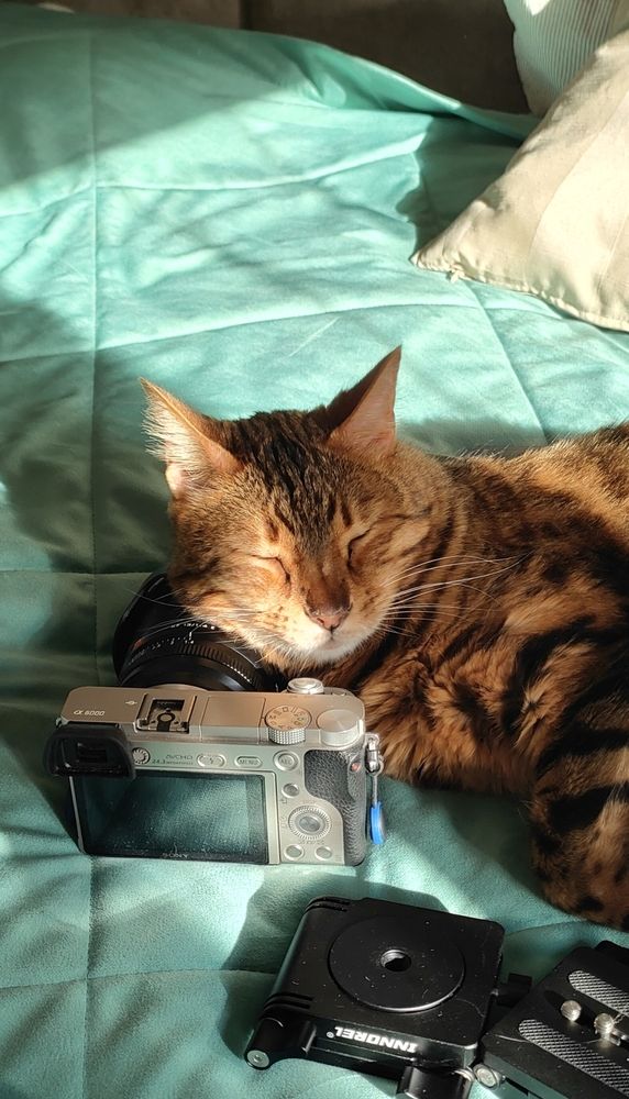 Photograph by Игорь Семеновский