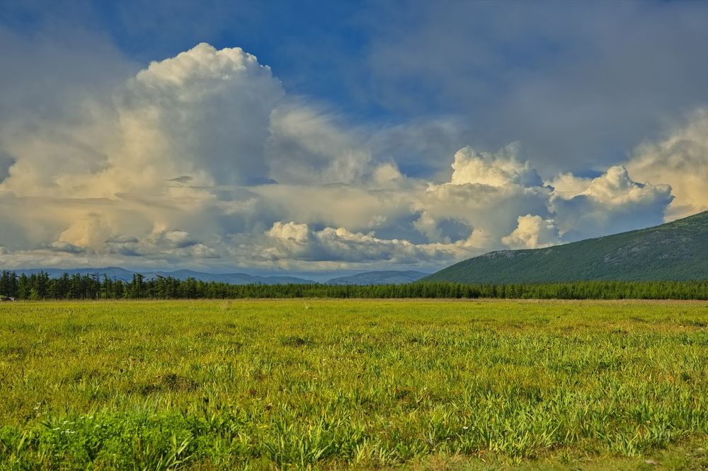 Photograph by Олег Раков