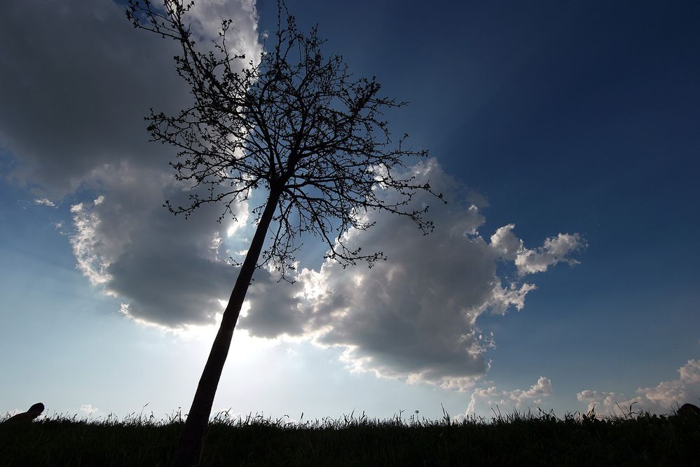 Photograph by Дмитрий Ткаченко