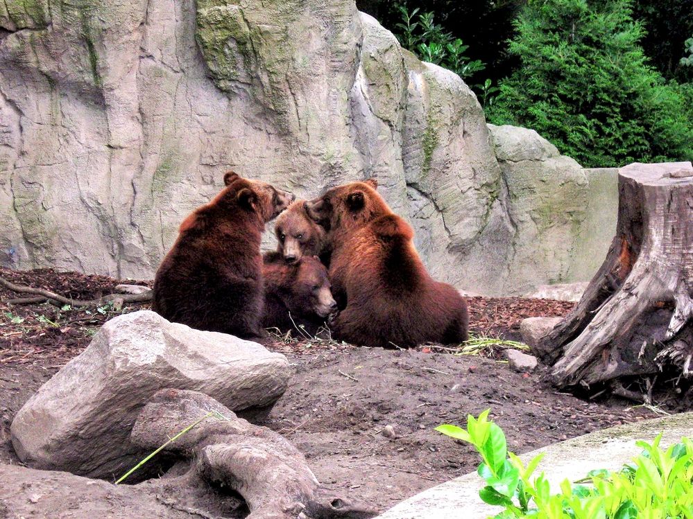 Photograph by Алексей Язвенко