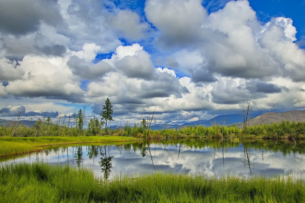 Photograph by Олег Раков