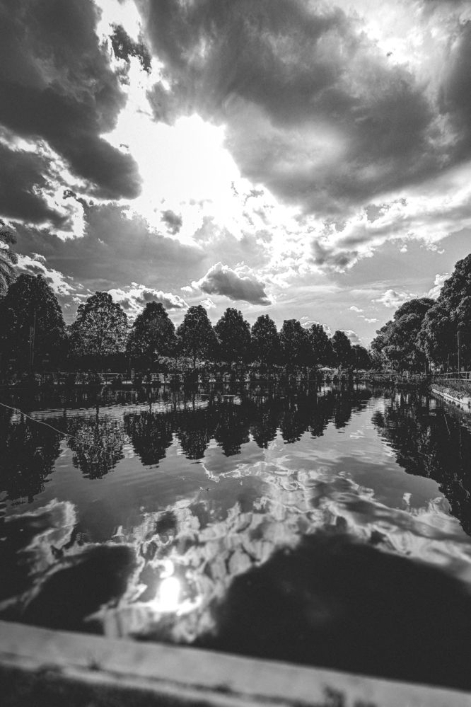 Whispers in the Water