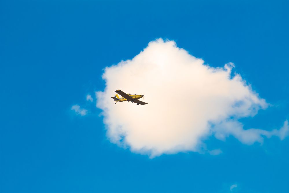 Flight Through Dreams