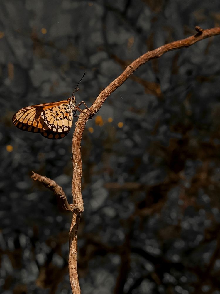 Photograph by ghufran Alim