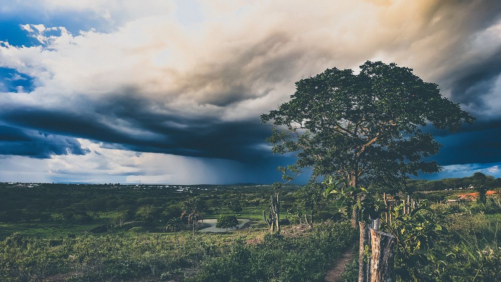 The Edge of the Storm