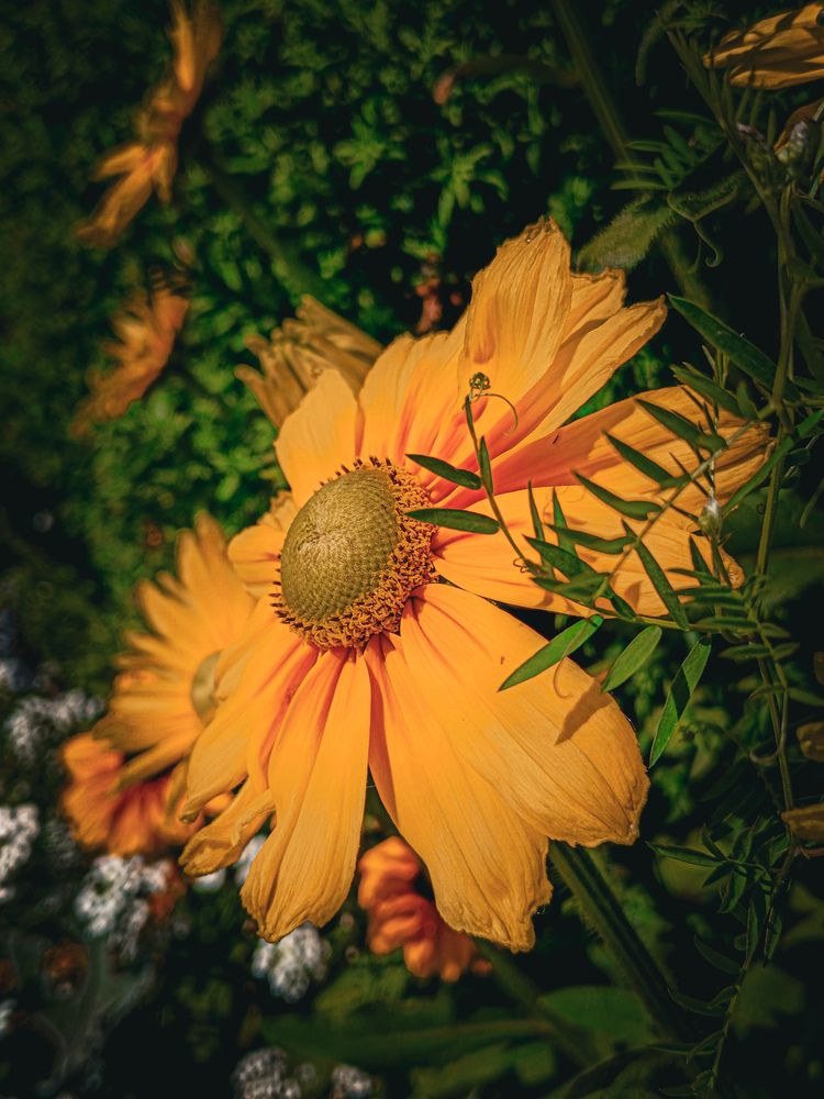 Photograph by Владимир Сушкин