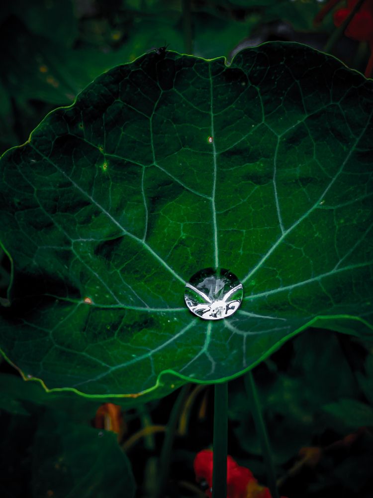 Photograph by Владимир Сушкин