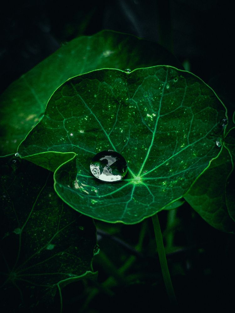 Photograph by Владимир Сушкин