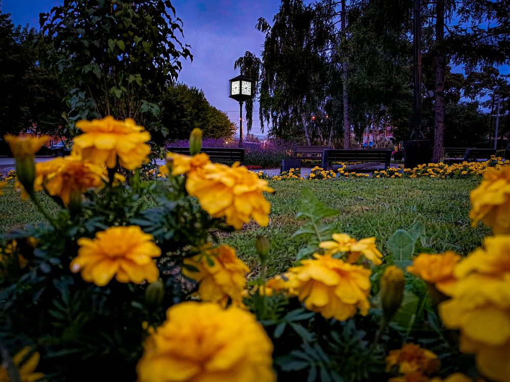 Photograph by Владимир Сушкин