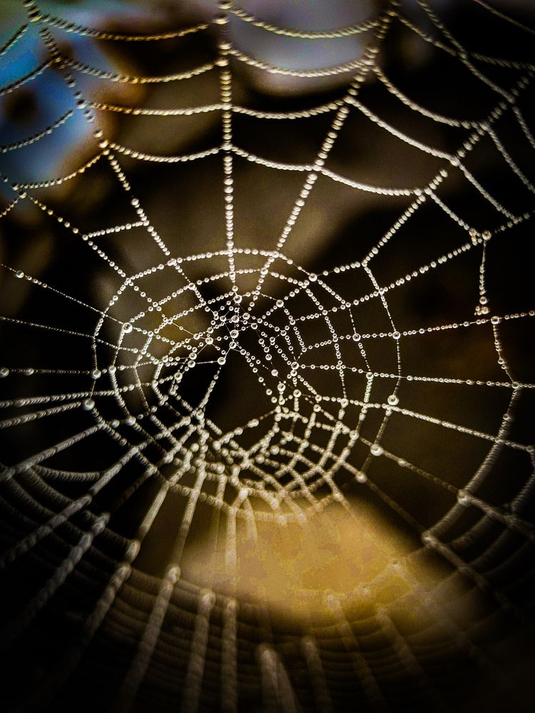 Photograph by Владимир Сушкин