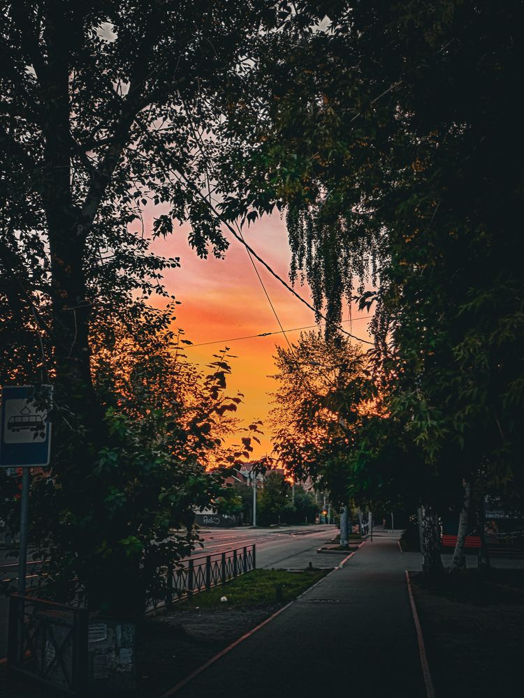 Photograph by Владимир Сушкин