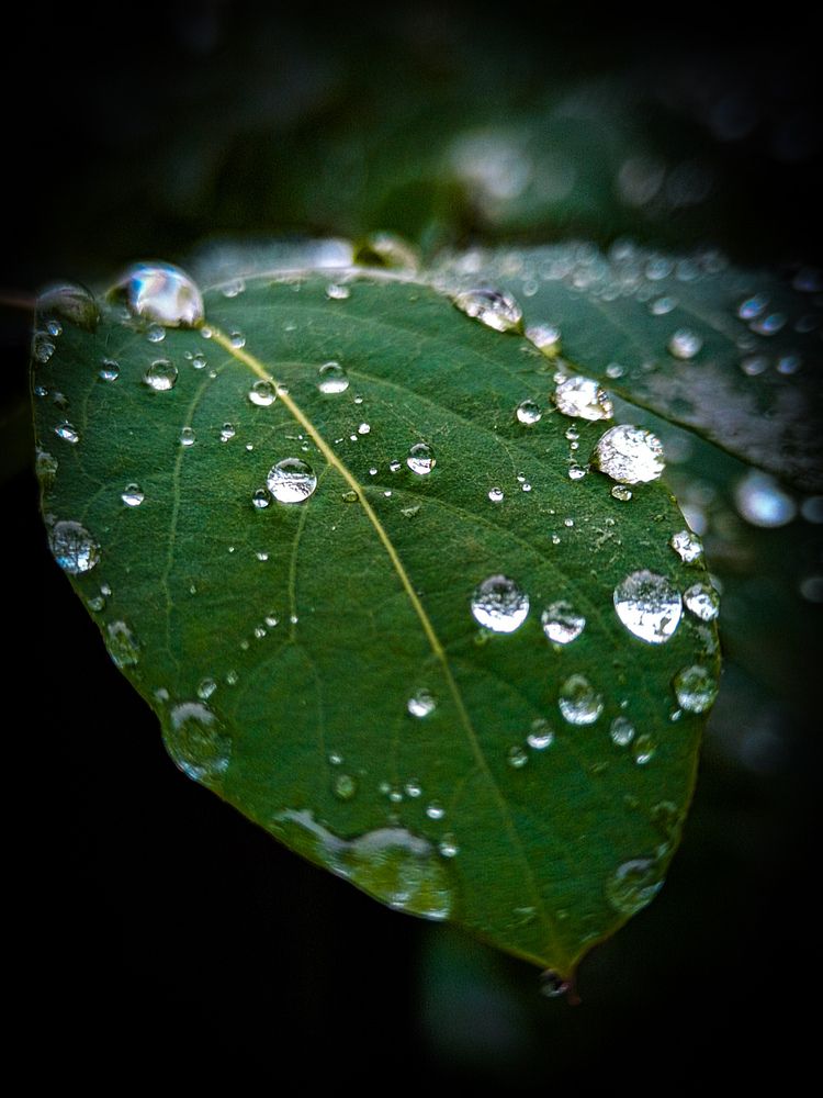 Photograph by Владимир Сушкин
