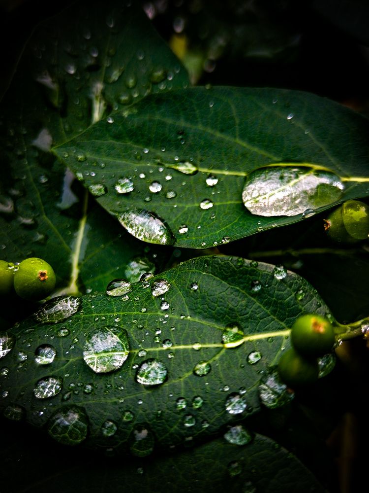 Photograph by Владимир Сушкин