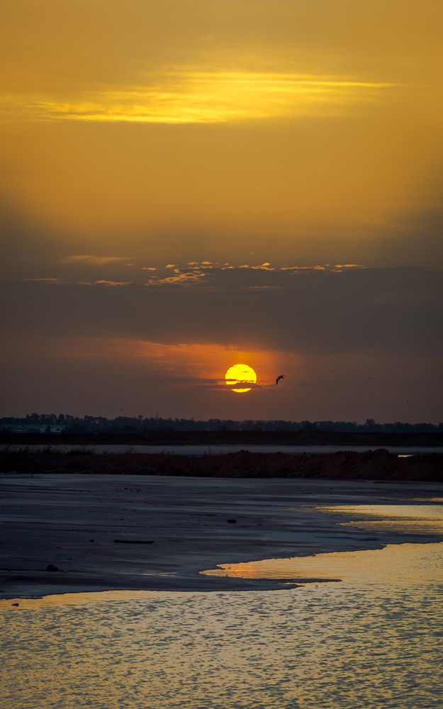 Фотография автора Геннадий Ломеко