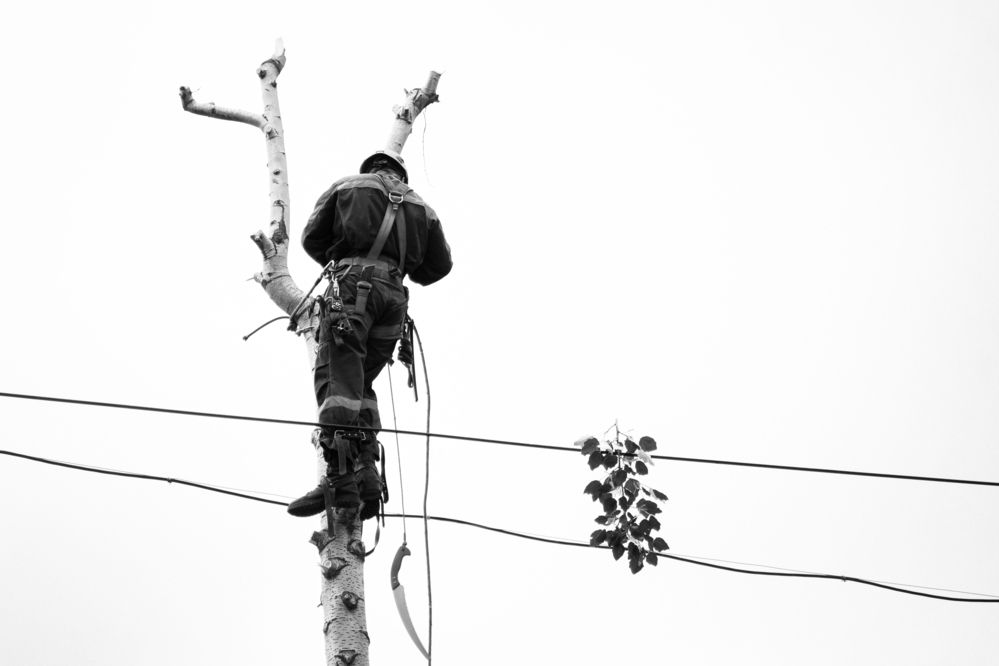 Photograph by Anna Kotelnikova