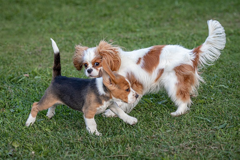 Photograph by Любовь Перевозникова